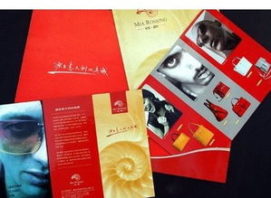 廣告公司的VIS企業(yè)形象識別設計——塑造品牌視覺靈魂