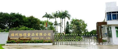 金獎企業(yè)旭煌食品 巧用科技助力，讓魚丸的國際旅程更遠